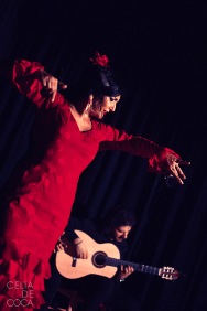 Soledad Gomez foto flamenco celia de coca 18 copia